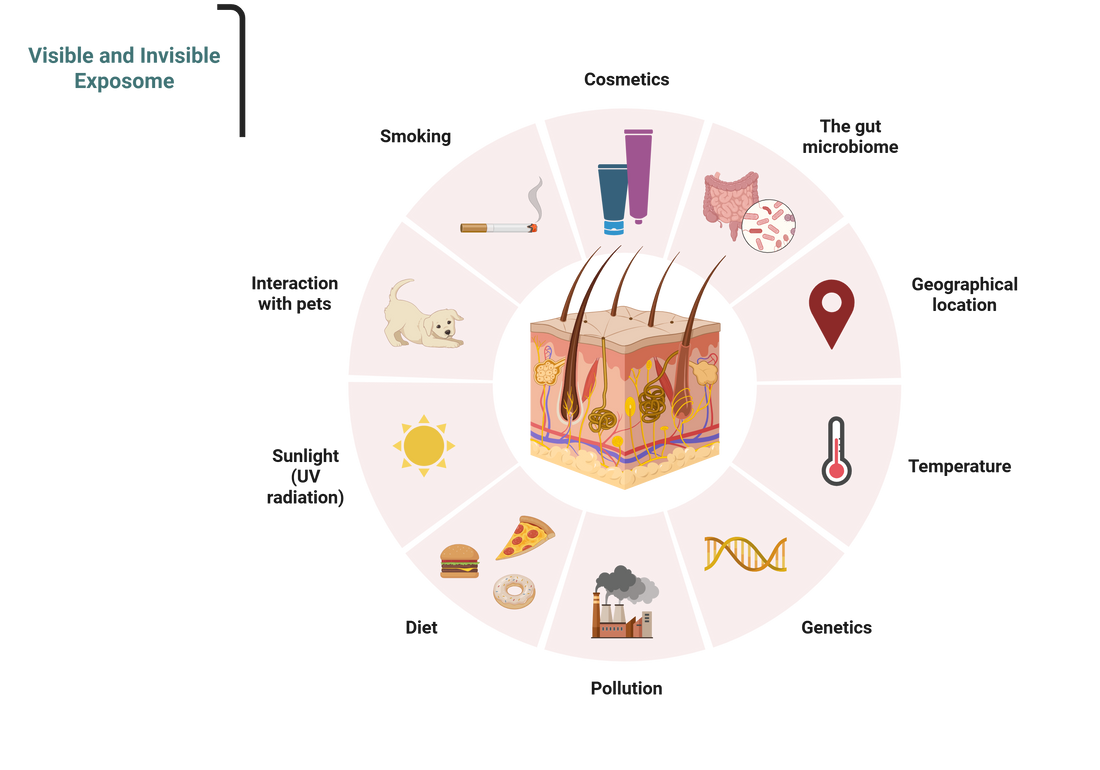What Is the Skin Exposome? What you can do about it.