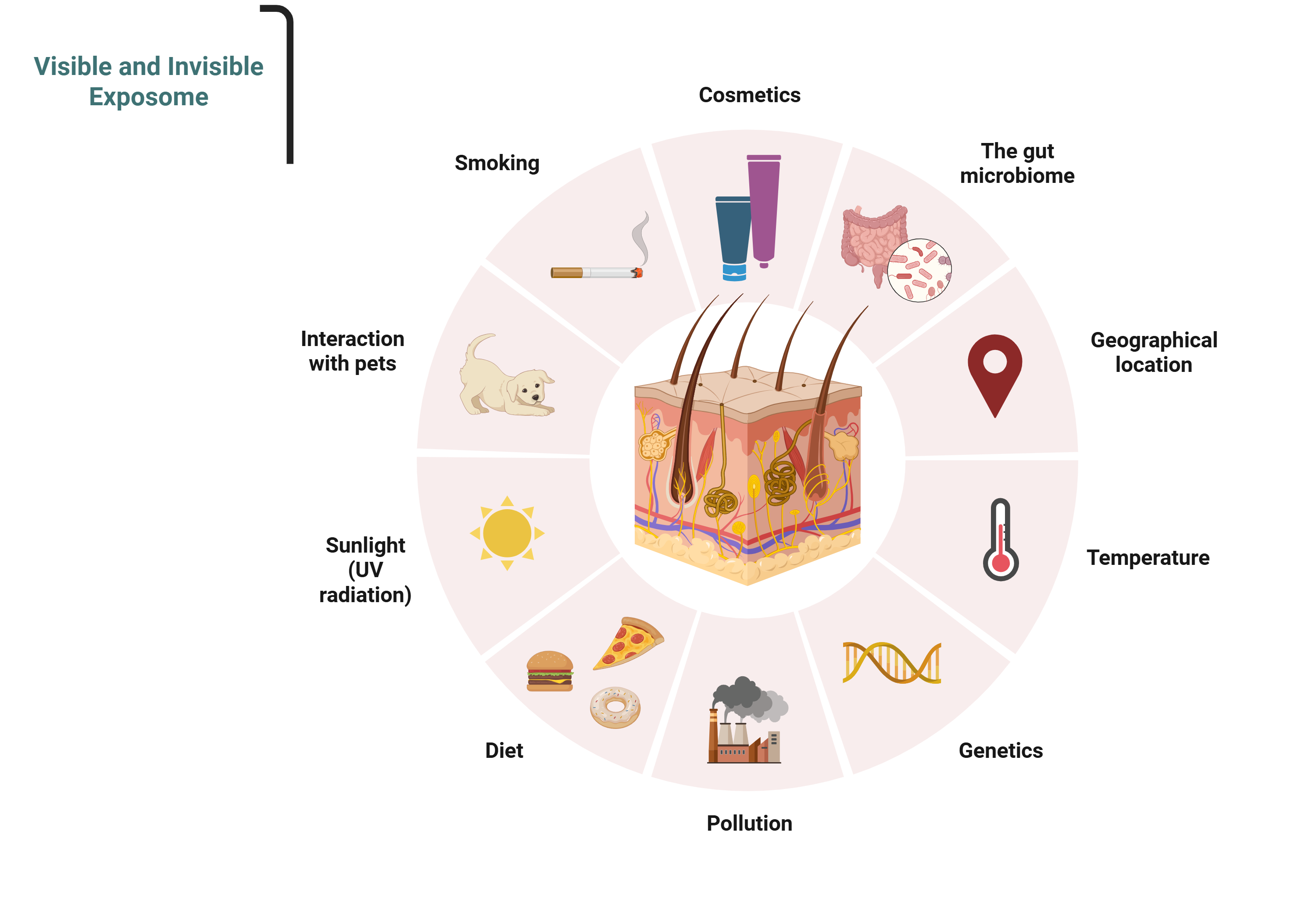 What Is the Skin Exposome? What you can do about it.