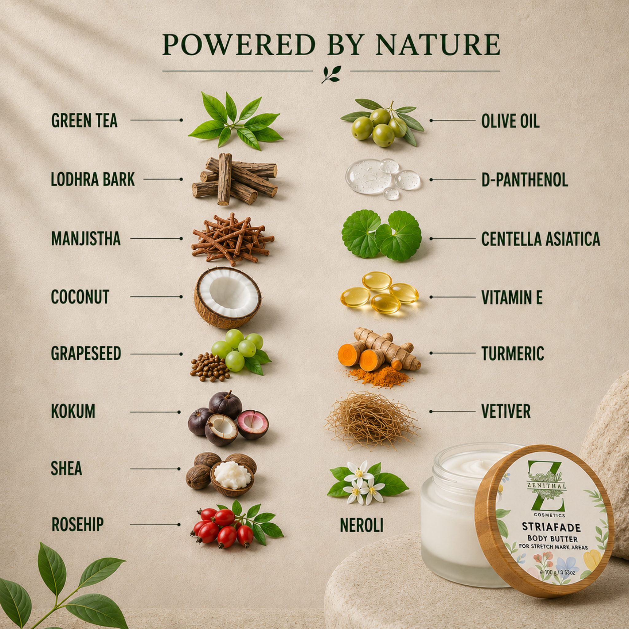 Striafade Stretch Mark Cream ingredients for stretch mark care and skin elasticity support.  ingredient callouts around it: green tea, lodhra bark, manjistha, coconut, grapesseed, kokum, shea, rosehip, olive oil, D-panthenol, centella asiatica, vitamin E, turmeric, vetiver, and neroli. The text reads 'POWERED BY NATURE' at the top.