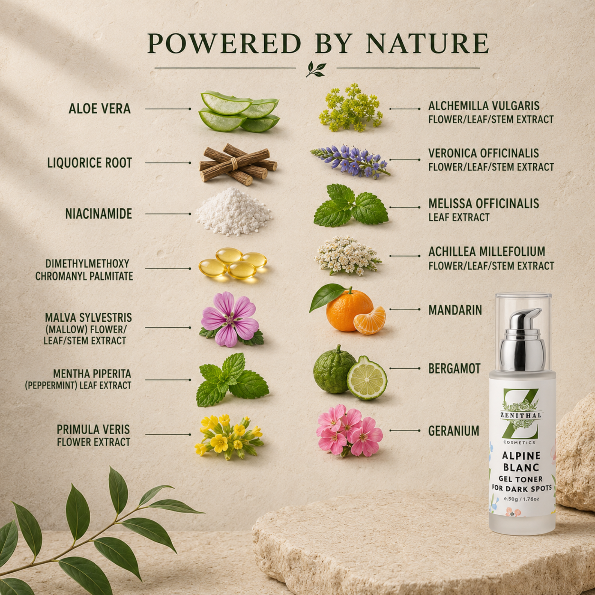Dark spot correcting serum formulated to improve uneven skin tone and visible pigmentation ingredient including aloe vera, liquorice root, niacinamide, and others. The background is a textured beige stone-like surface with decorative leaves at the bottom.