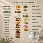 YouthBoost anti-ageing face cream ingredients for hydration, barrier support and radiant skin and a list of natural ingredients such as manuka honey, ceramides, frankincense, coconut, mango, rosehip, and marine algae paired with small photos of each ingredient.